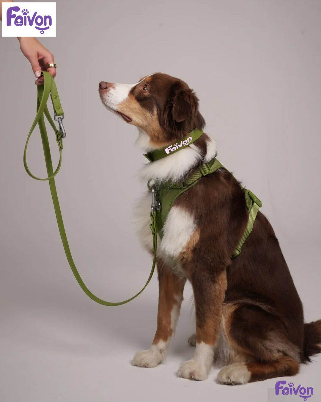 Harness Walk set