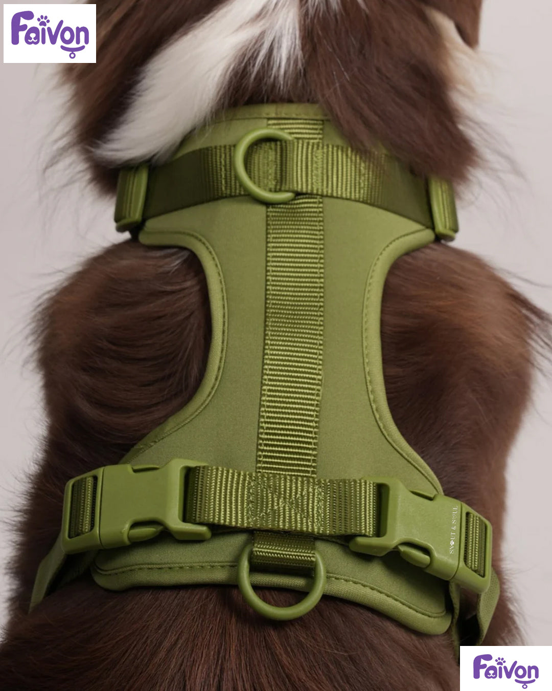 Harness Walk set