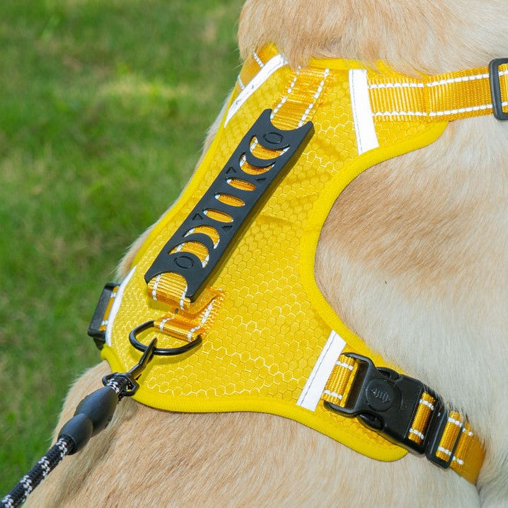 Versatile Harness