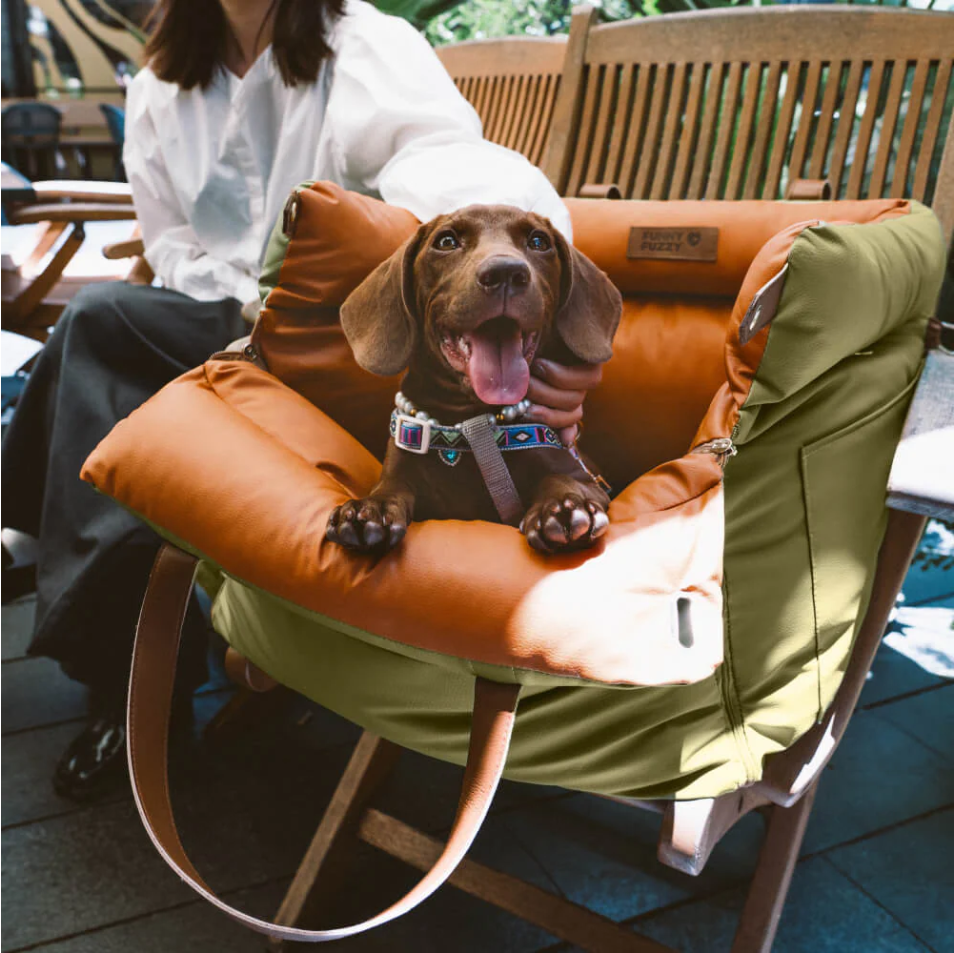 Dog Travel Carrier Seat