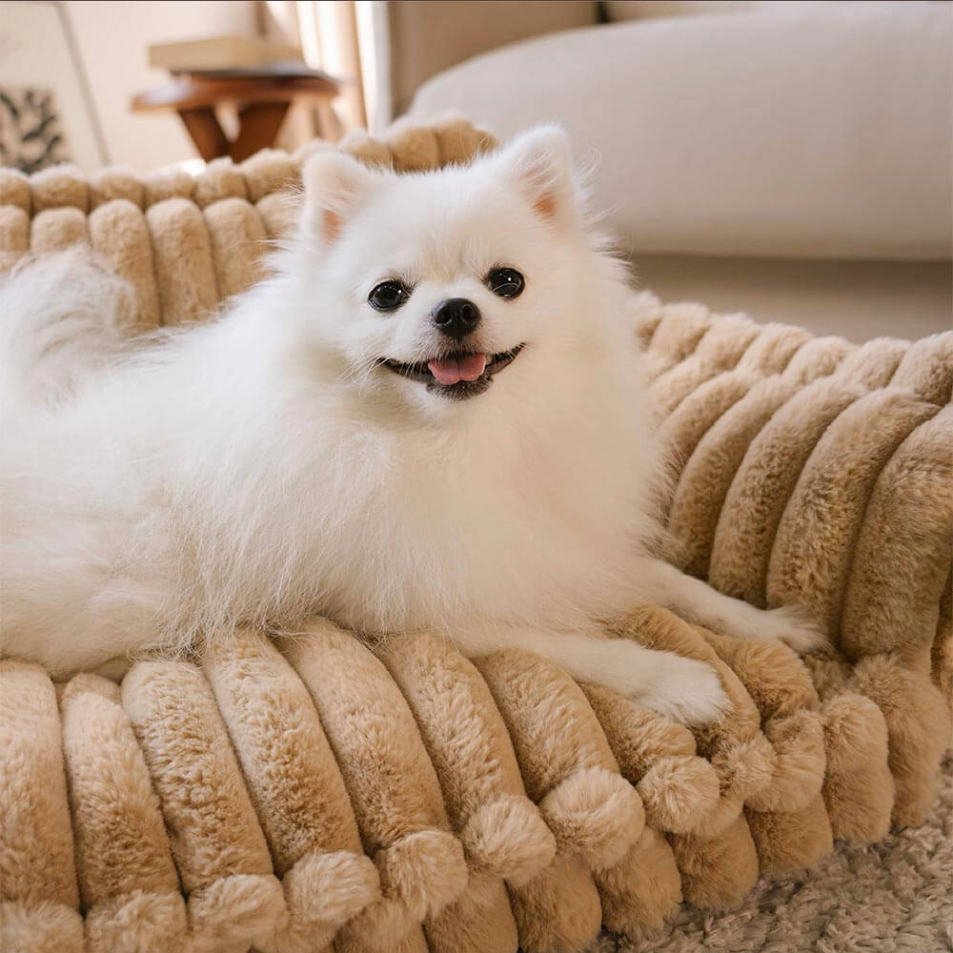 Fluffy Pet Sofa