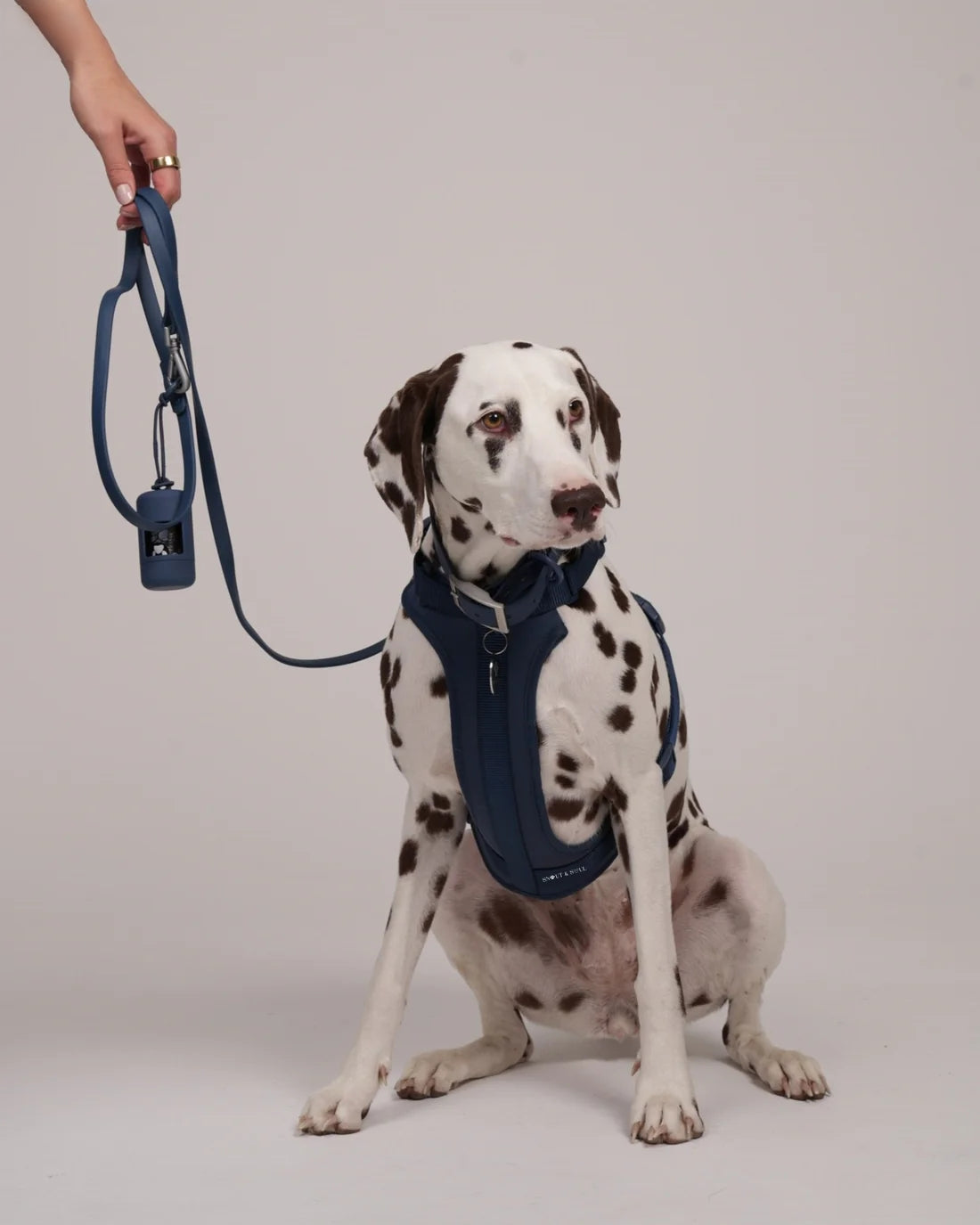 Harness Walk set