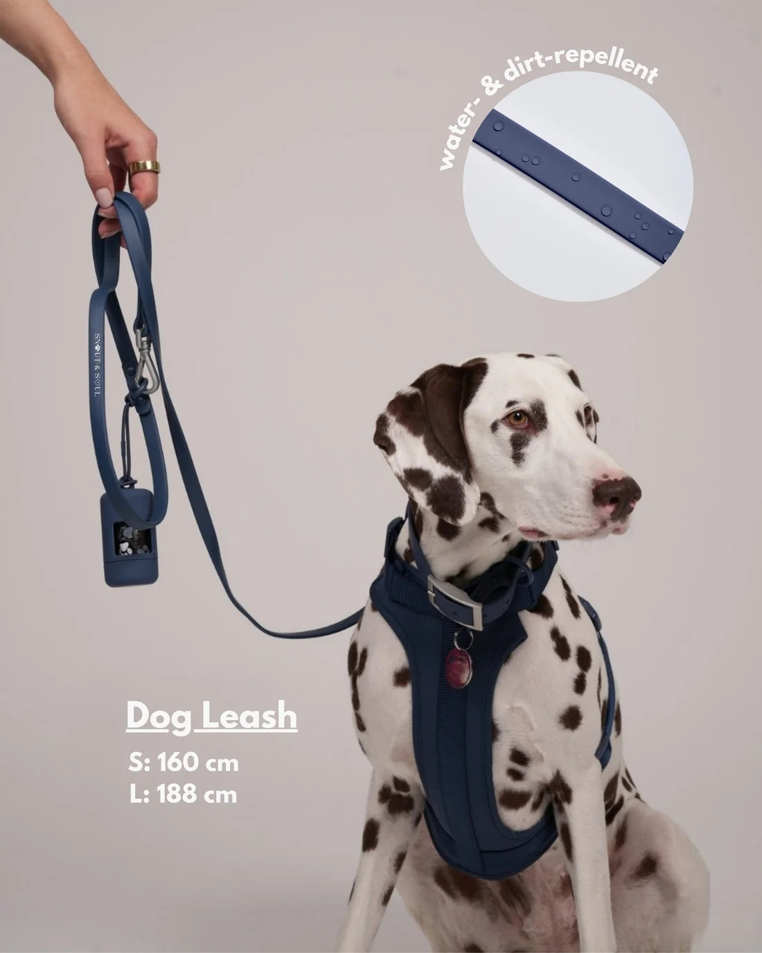 Harness Walk set