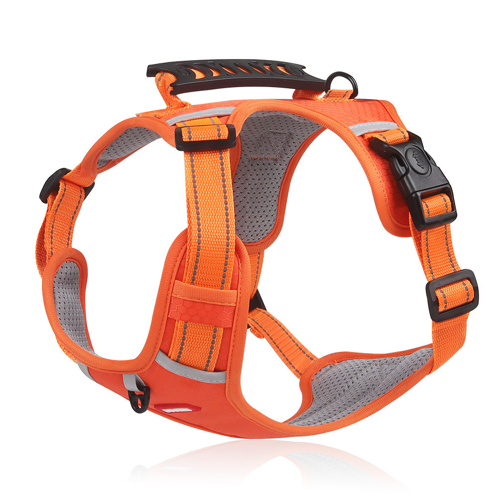 Versatile Harness