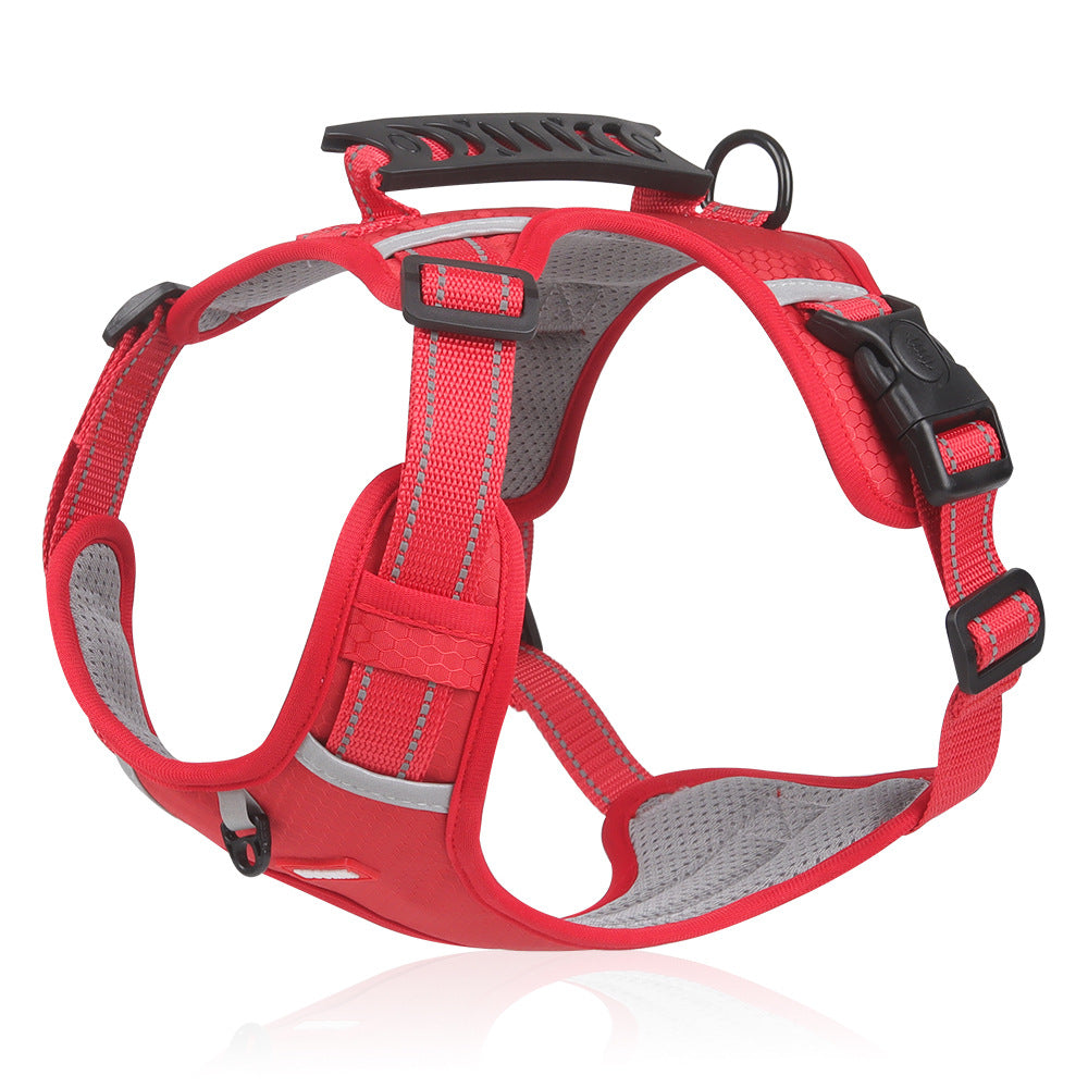Versatile Harness