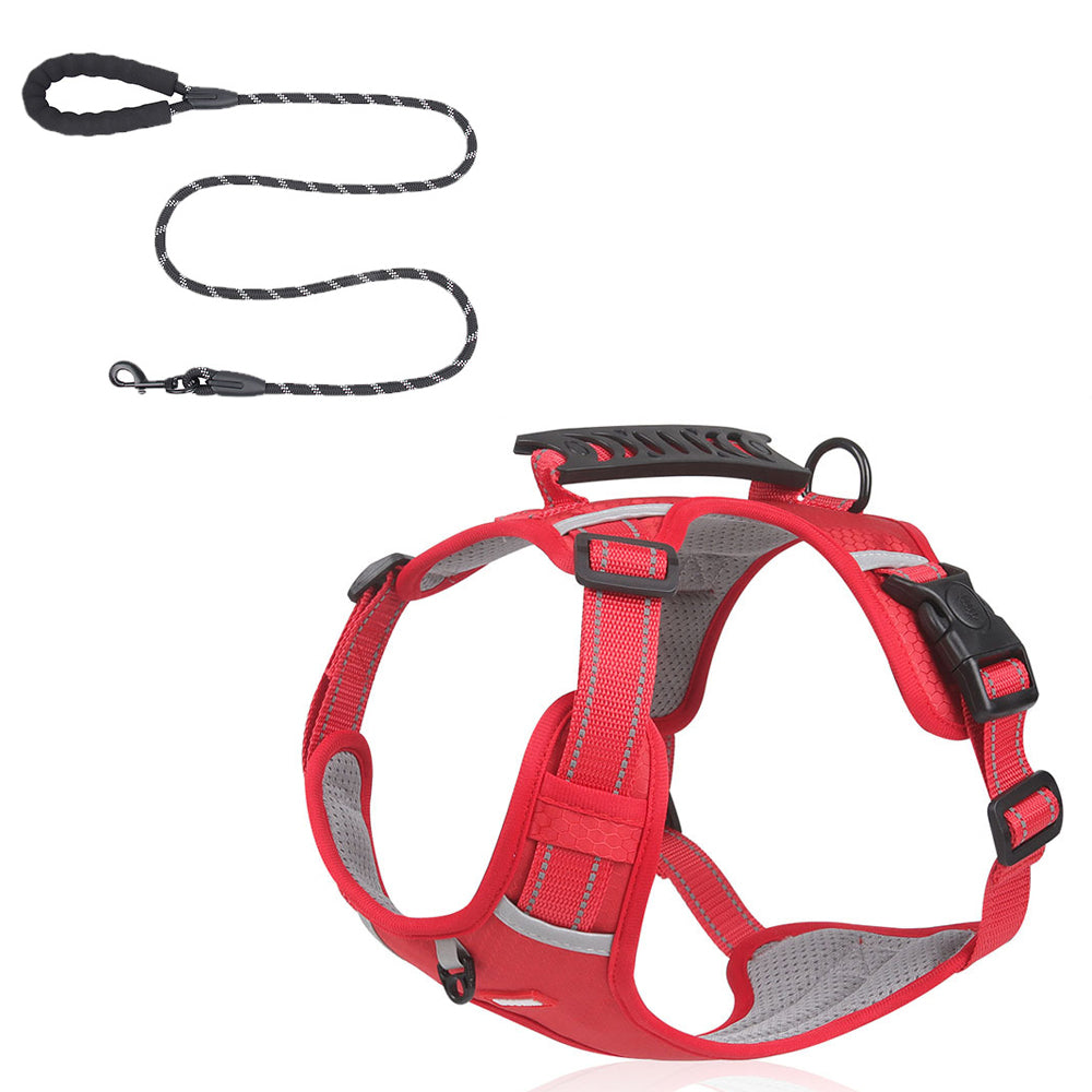 Versatile Harness