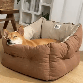 Ultimate Comfort & Security