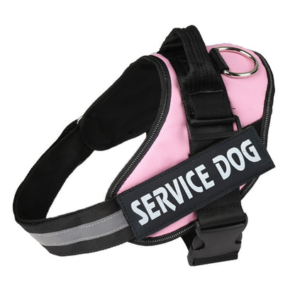 Custom Versatile Harness