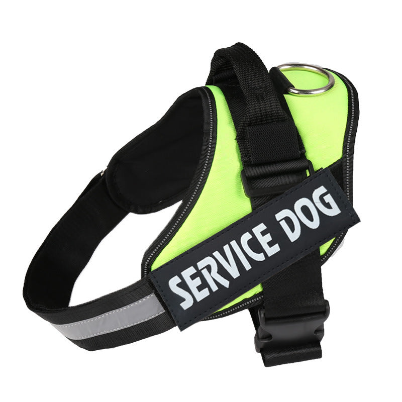 Custom Versatile Harness
