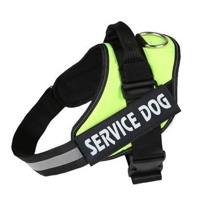 Custom Versatile Harness