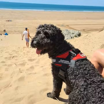 Custom Versatile Harness