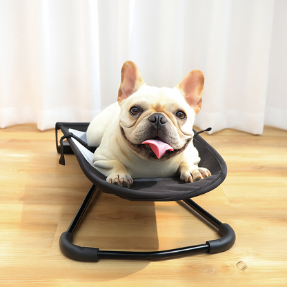 Dog Lounge Chair