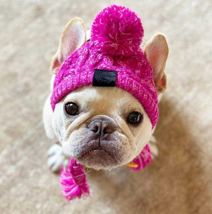 Windproof Wool Winter Cap for French Bulldogs