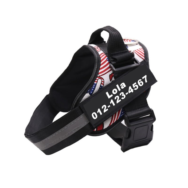 Custom Versatile Harness