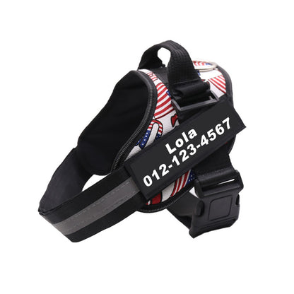 Custom Versatile Harness