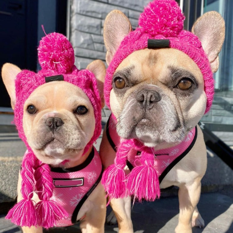 Windproof Wool Winter Cap for French Bulldogs