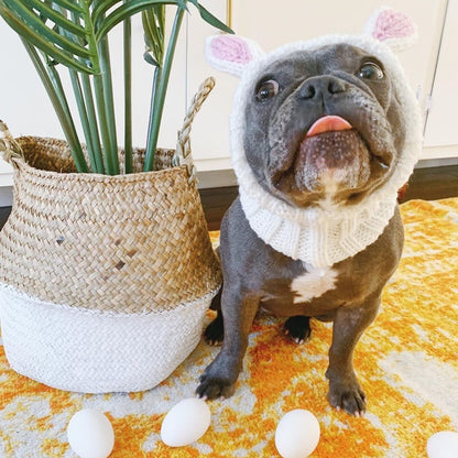 Bulldog Christmas Hat