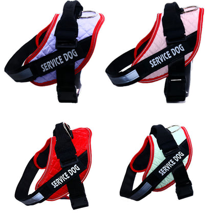 Custom Versatile Harness