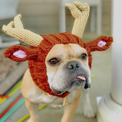 Bulldog Christmas Hat