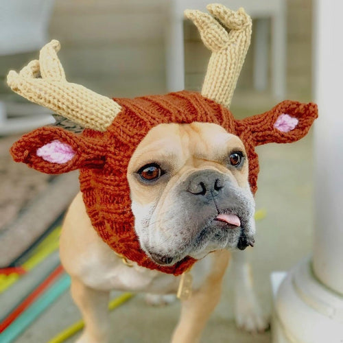 Bulldog Christmas Hat