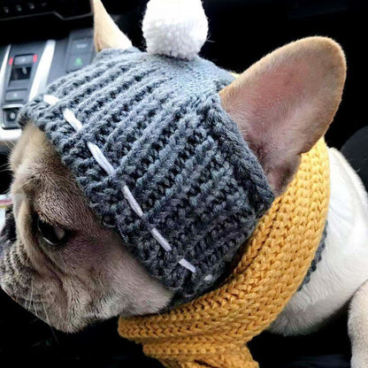 Frenchie Winter Knit Beanie