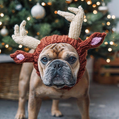 Bulldog Christmas Hat