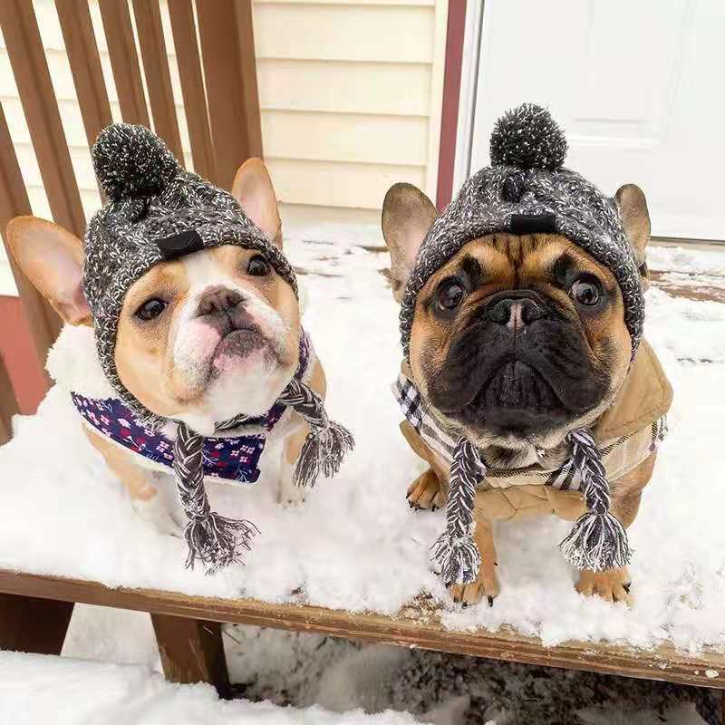 Windproof Wool Winter Cap for French Bulldogs