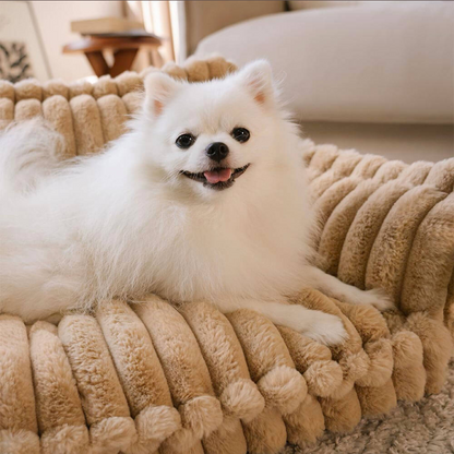 Fluffy Pet Sofa