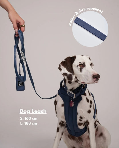 Harness Walk set